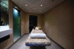 Silver Muse Gallery Image